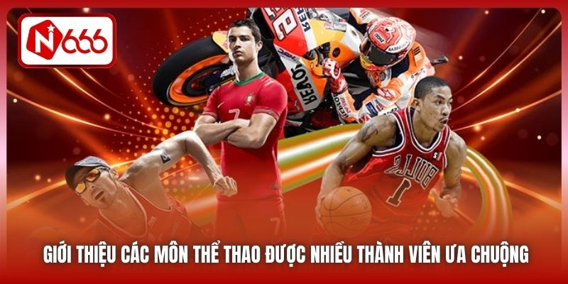 Giới thiệu các môn thể thao được nhiều thành viên ưa chuộng