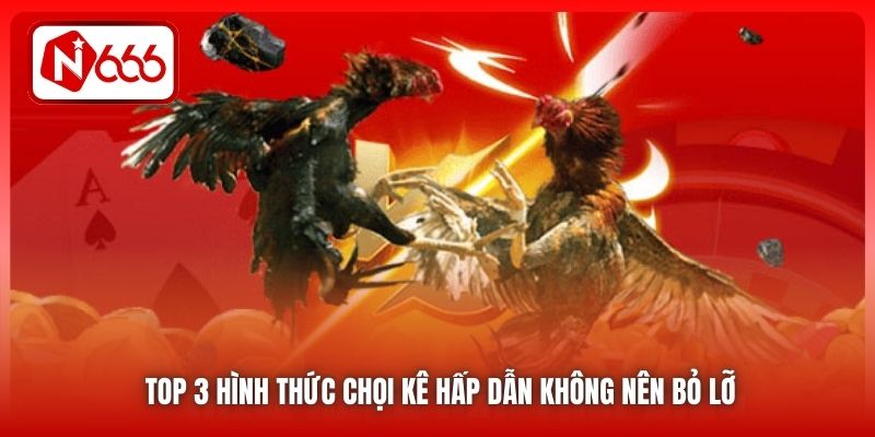 Top 3 hình thức chọi kê hấp dẫn không nên bỏ lỡ