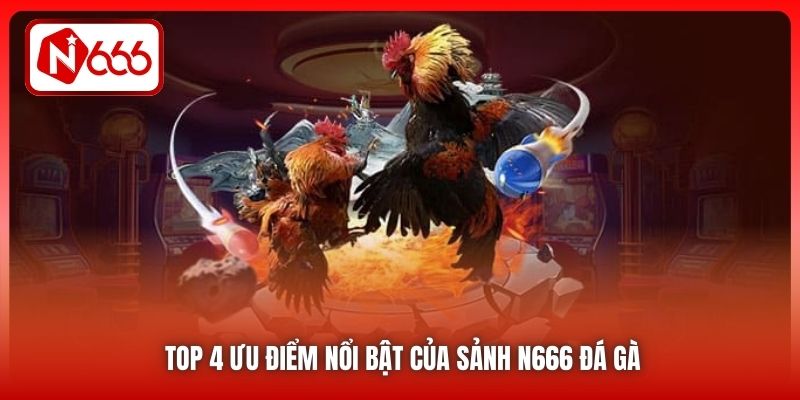 4 ưu điểm nổi bật của sảnh N666 đá gà
