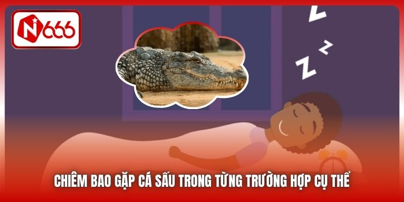 Chiêm bao gặp cá sấu trong từng trường hợp cụ thể