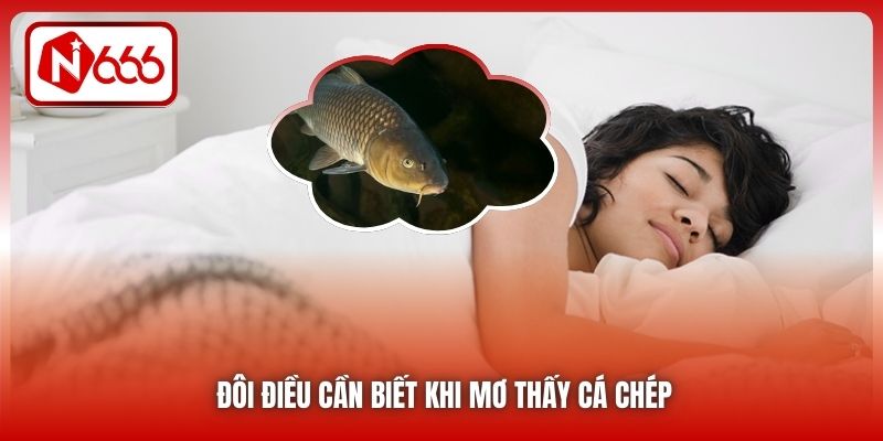 Đôi điều cần biết khi mơ thấy cá chép
