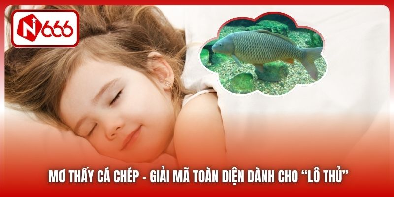 Mơ Thấy Cá Chép | Giải Mã Toàn Diện Dành Cho “Lô Thủ”