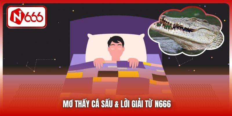 Mơ thấy cá sấu & lời giải từ N666