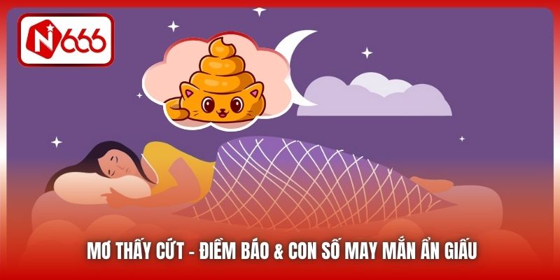 Mơ Thấy Cứt | Điềm Báo & Con Số May Mắn Ẩn Giấu