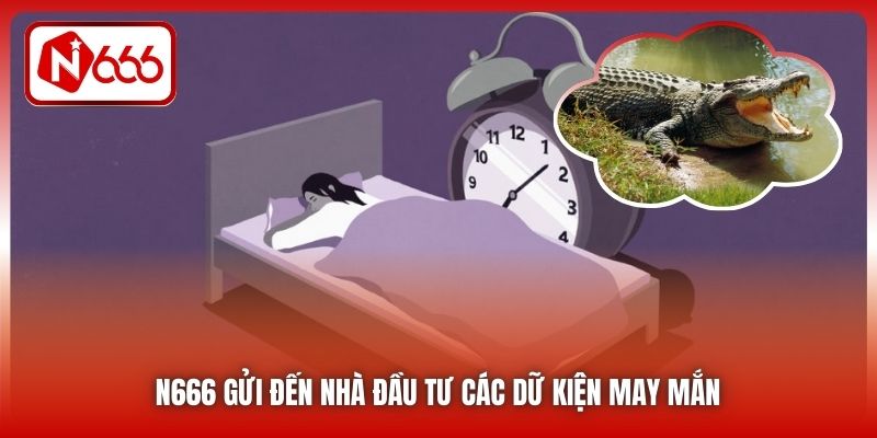 N666 gửi đến nhà đầu tư các dữ kiện may mắn