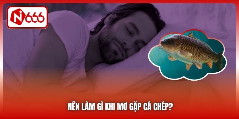 Nên làm gì khi mơ gặp cá chép?