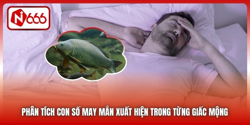 Phân tích con số may mắn xuất hiện trong từng giấc mộng 